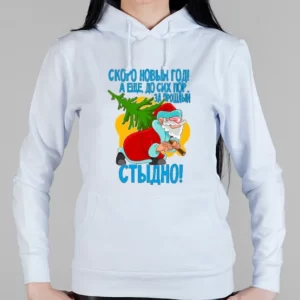 Женская толстовка "За прошлый новый год стыдно!"